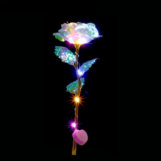 Enchanti Galaxy LED Rose Belleza