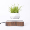 Heflucht Bonsai Pot Belleza
