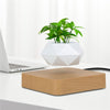 Heflucht Bonsai Pot Belleza