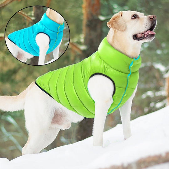 Omkeerbare Hond Puffer Jas Belleza