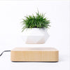 Heflucht Bonsai Pot Belleza