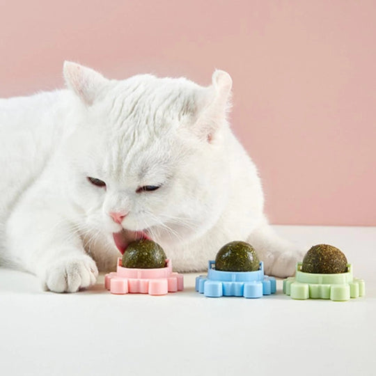 Kattenkruid bal
