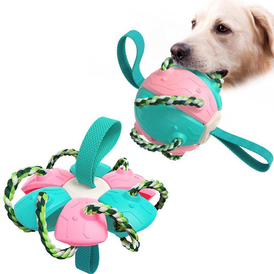 Interactieve frisbee bal hond speelgoed