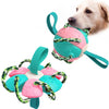 Interactieve frisbee bal hond speelgoed