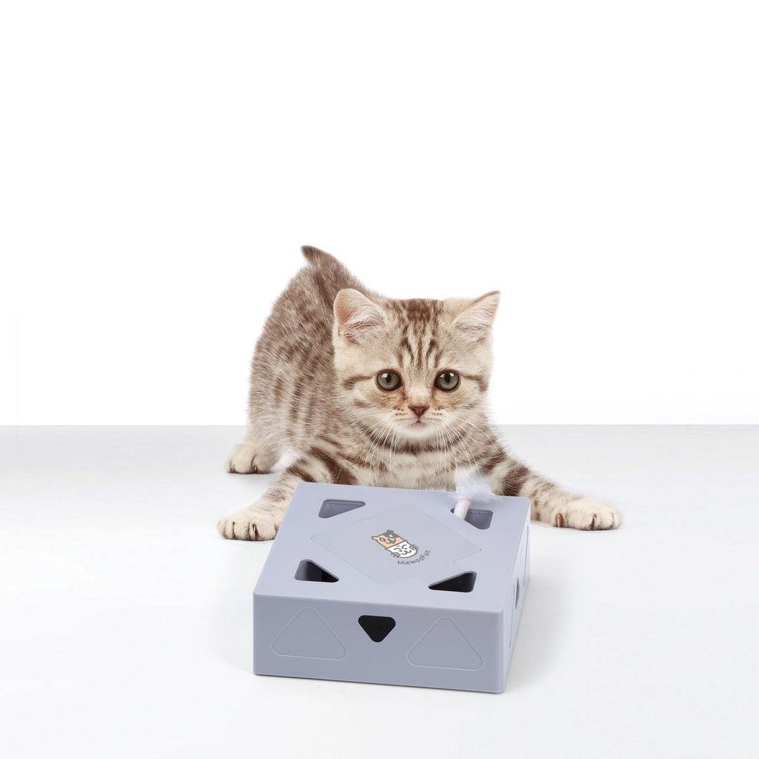 Automatisch Kattenspeelgoed Veer Belleza