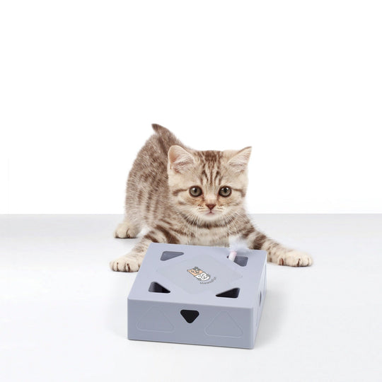 Automatisch Kattenspeelgoed Veer Belleza