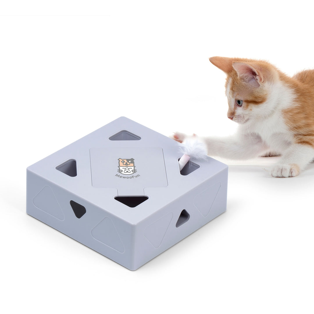 Automatisch Kattenspeelgoed Veer Belleza