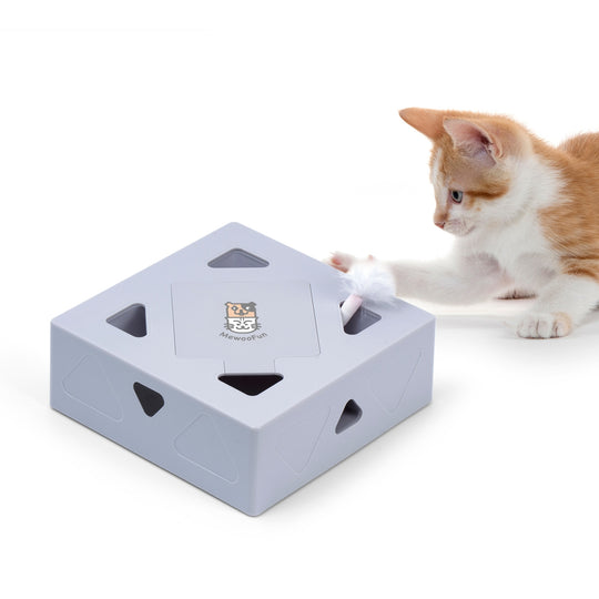 Automatisch Kattenspeelgoed Veer Belleza