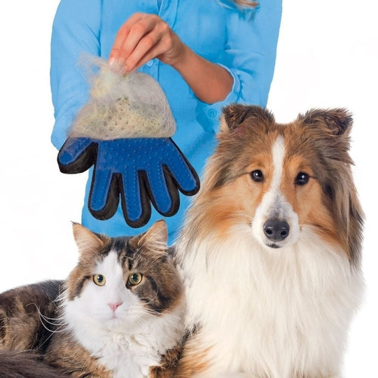 Katten Grooming Handschoenen