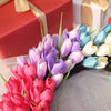 Tulp Lente Krans Belleza