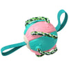 Interactieve frisbee bal hond speelgoed