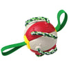 Interactieve frisbee bal hond speelgoed