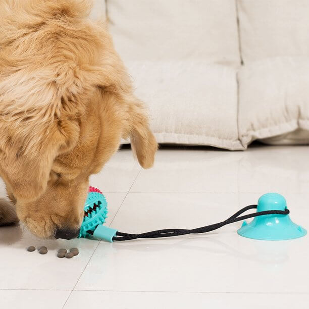 Interactief Hond Kauwen Toy