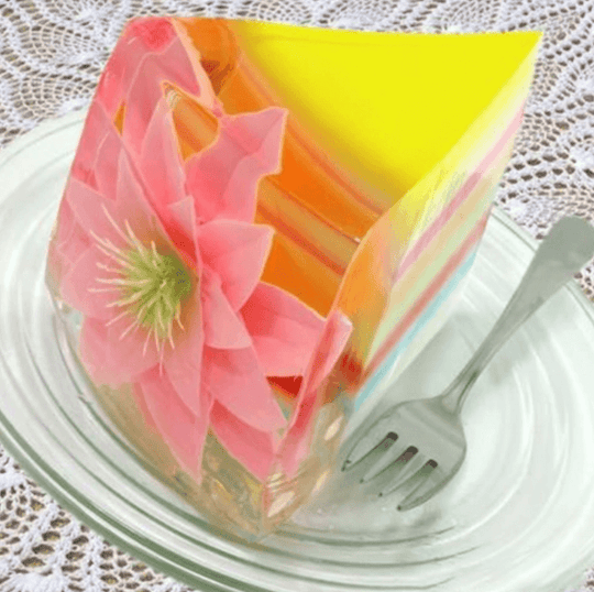 3D Gelatine Kunst Starterset Belleza