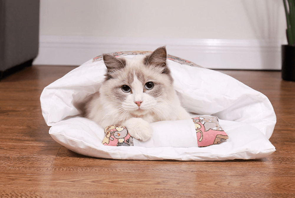 Kattenslaapzak Belleza