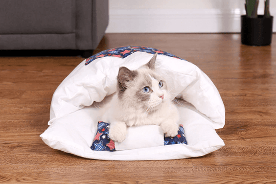 Kattenslaapzak Belleza