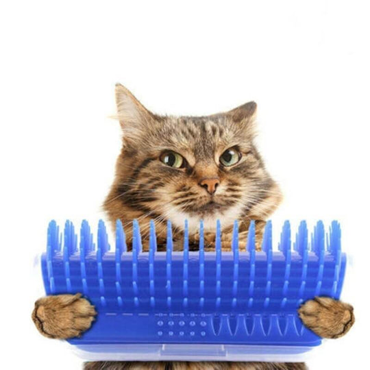 Kattenhoek Groomer Belleza