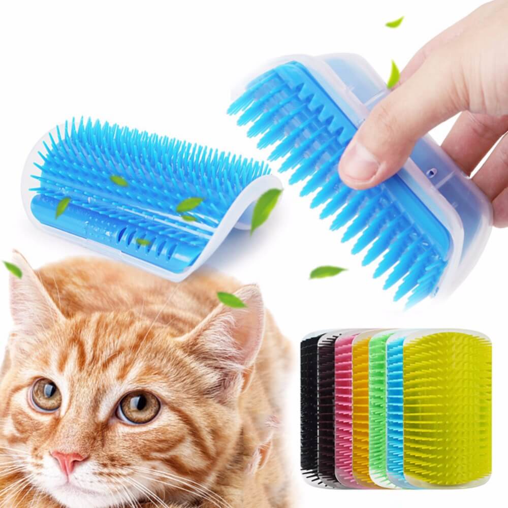 Kattenhoek Groomer Belleza