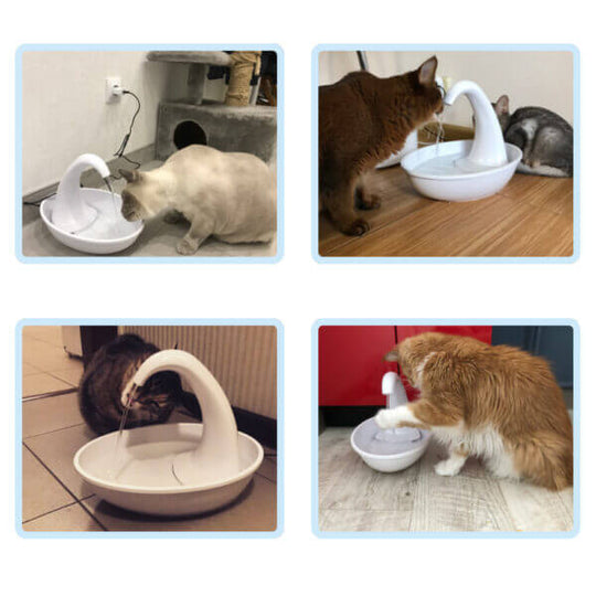 Premium automatische drinkfontein voor katten Belleza