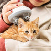 Elektrische Kattenkop Massager