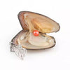 Natuurlijke Oyster Parel Ketting Belleza