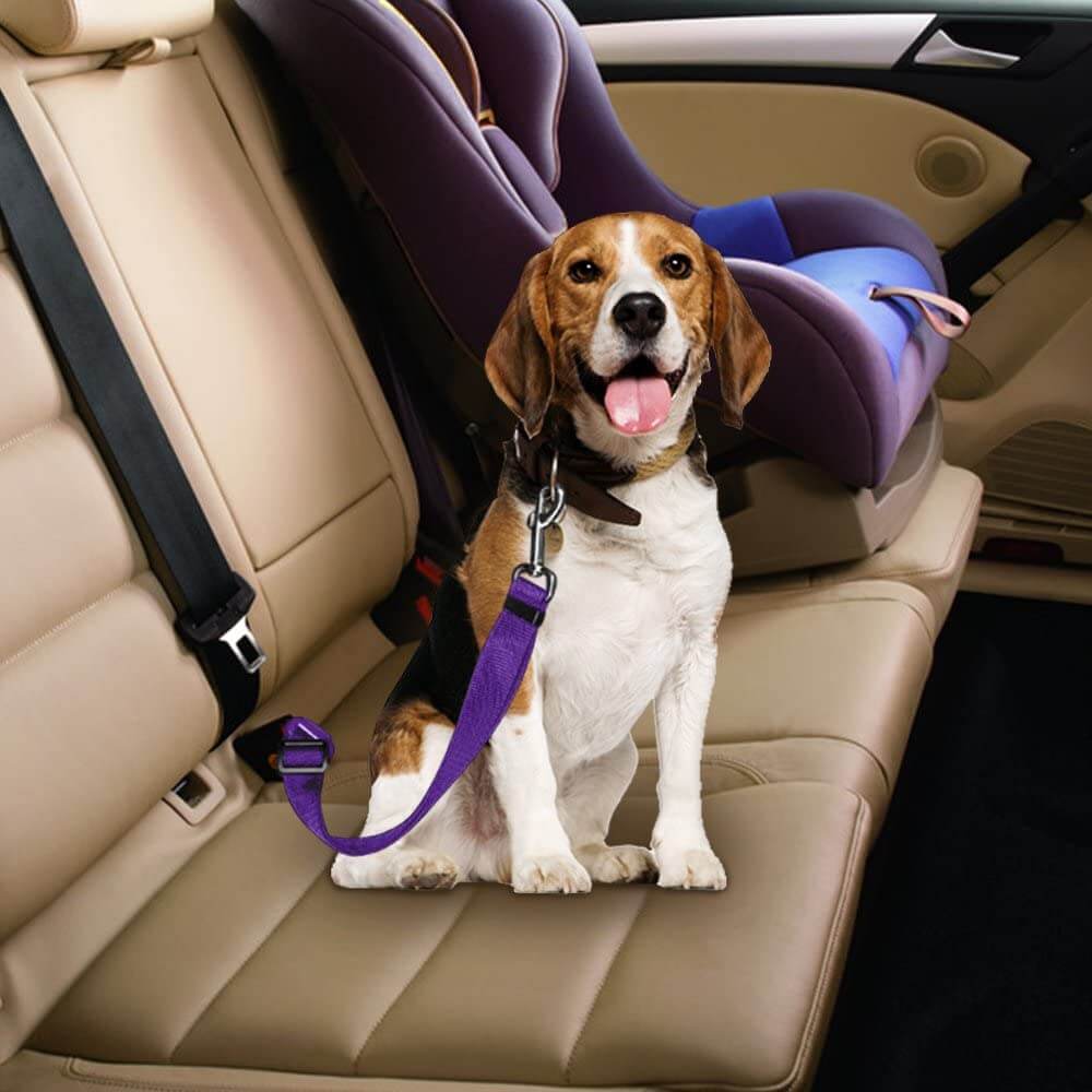 Hond Auto Veiligheidsgordel Belleza