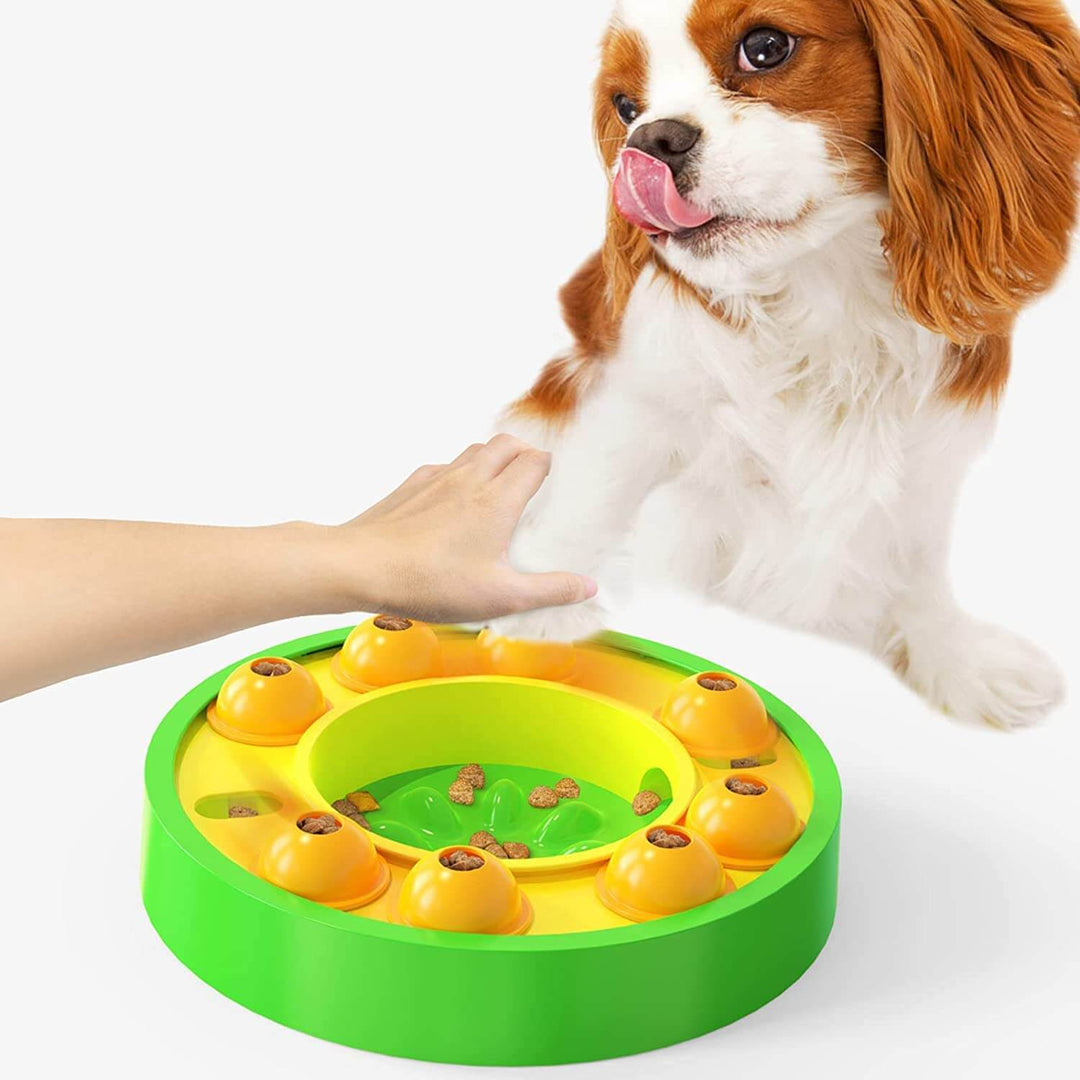 Wijsheid Hond Toy | Langzaam Lekken Feeding Training