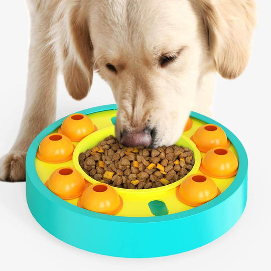 Wijsheid Hond Toy | Langzaam Lekken Feeding Training