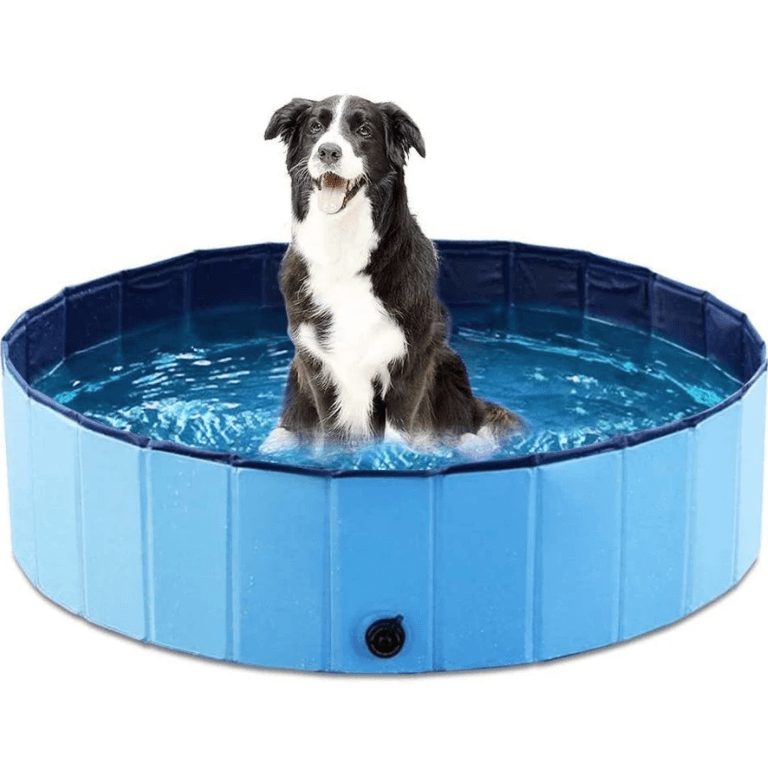 Draagbaar Hondenzwembad Belleza