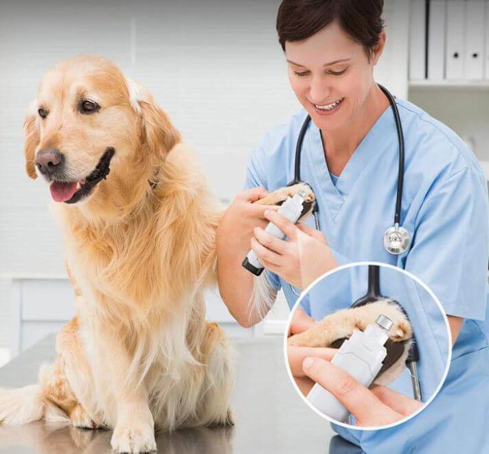 Oplaadbare Nageltrimmer Voor Huisdieren
