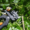Tuin Enting Tool Belleza