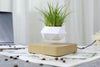 Heflucht Bonsai Pot Belleza