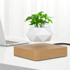 Heflucht Bonsai Pot Belleza