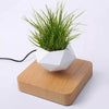 Heflucht Bonsai Pot Belleza