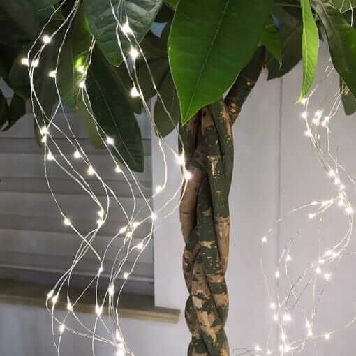 Fairy Branch Lights Belleza