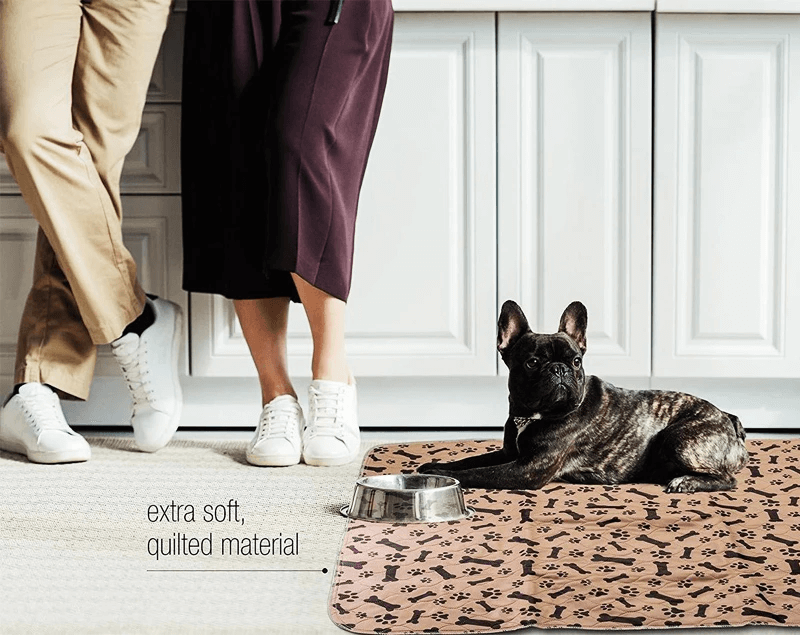 Herbruikbare honden plasmat Belleza