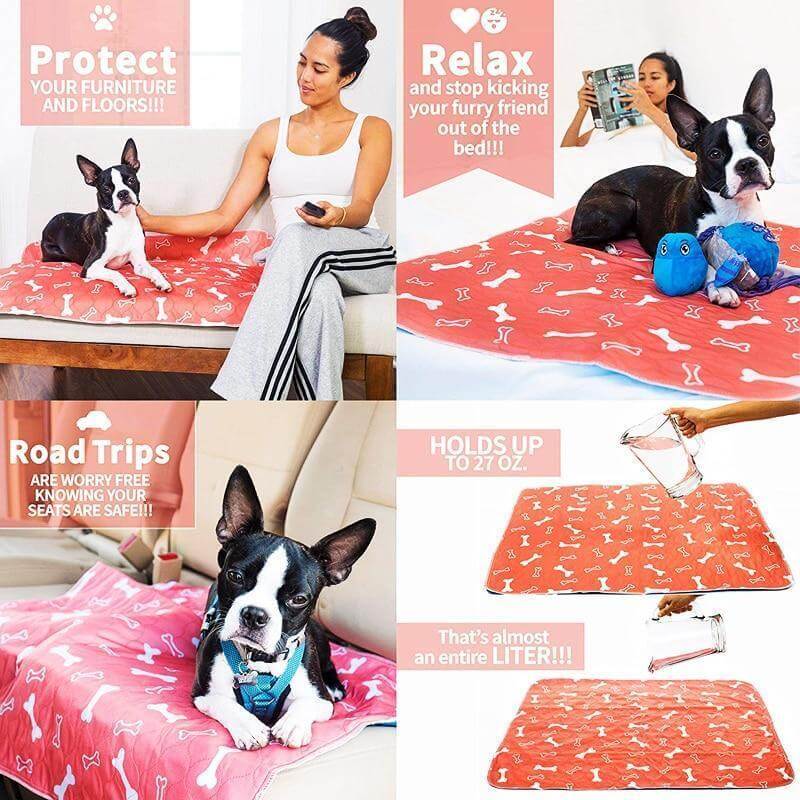 Herbruikbare honden plasmat Belleza
