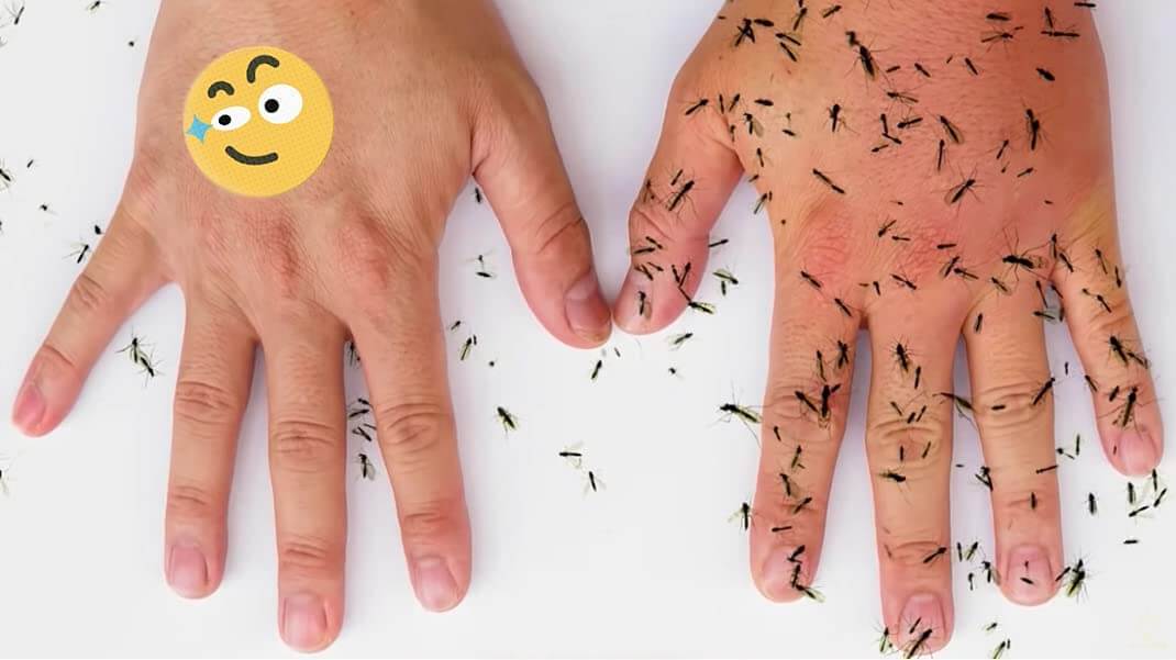 Natuurlijke Muggen Pleisters