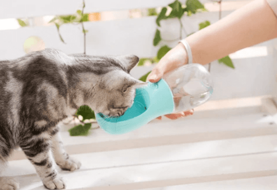 Outdoor Huisdier Waterfles Belleza
