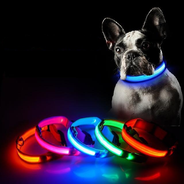 LED Halsband